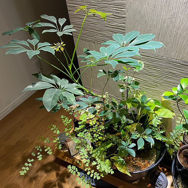 tastasuさんの部屋