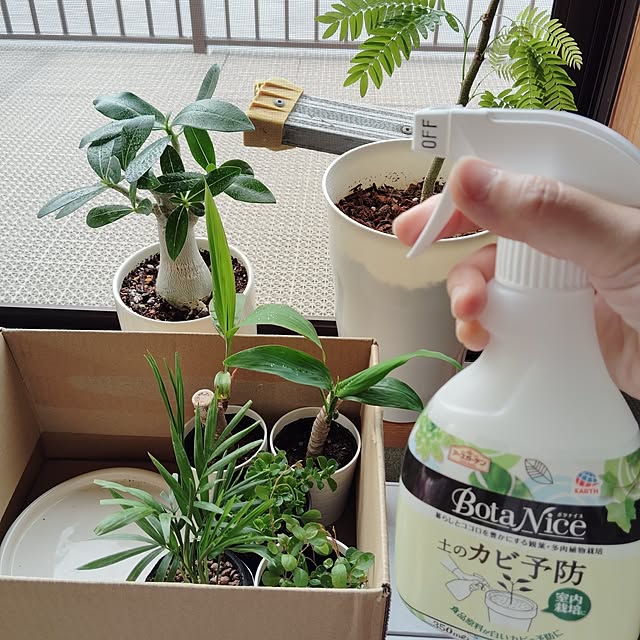 momomamaさんの実例写真
