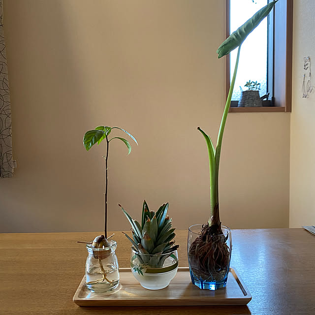 yukoさんの実例写真