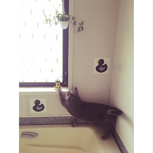 BTGさんの実例写真