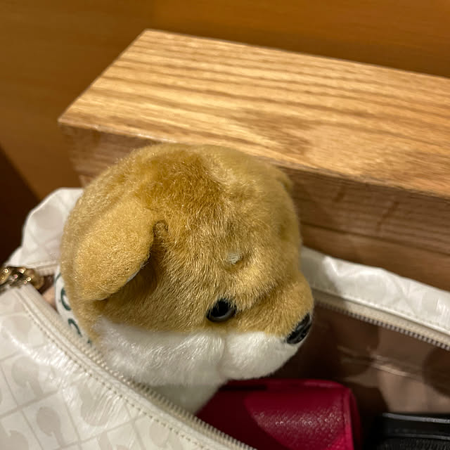 aureaさんの実例写真