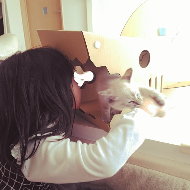 sisimaru1023さんの実例写真