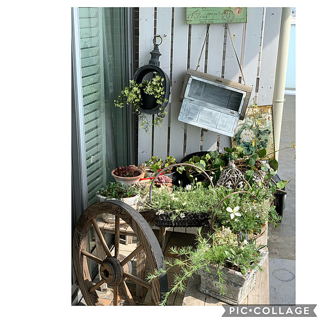 Rinrinfrenchさんの実例写真