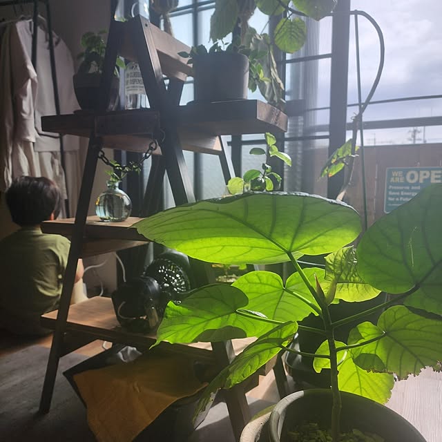CYNOSさんの実例写真