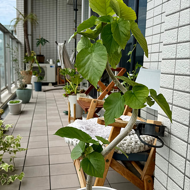 amさんの実例写真