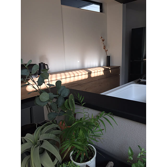 yll____sさんの実例写真