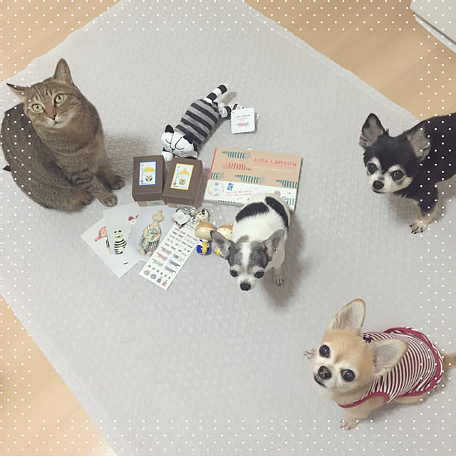 Emiさんの実例写真