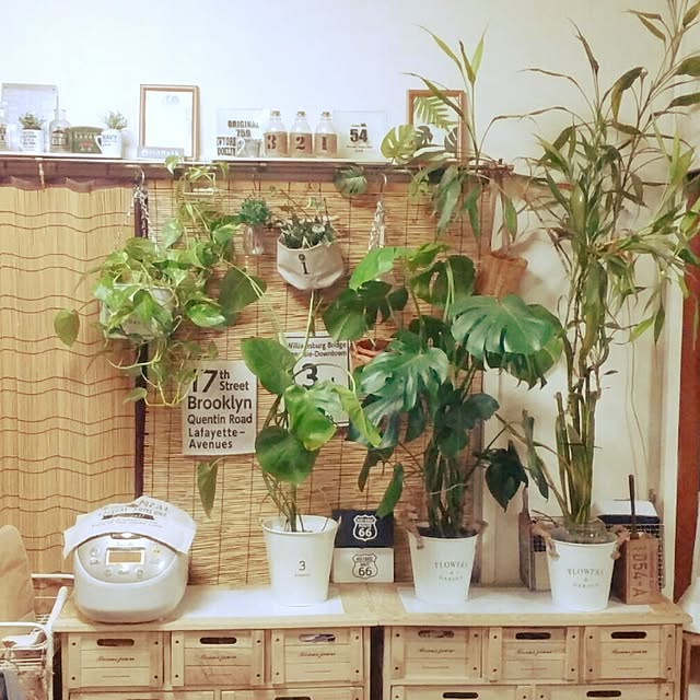 実例写真