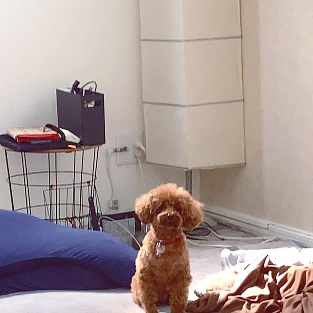 MOMOMAMAさんの部屋
