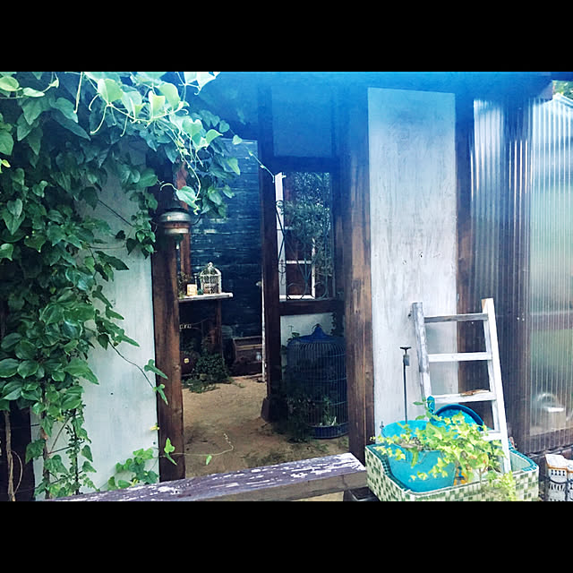 marusanさんの実例写真