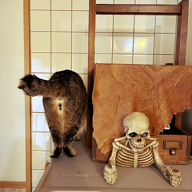 Mさんの実例写真