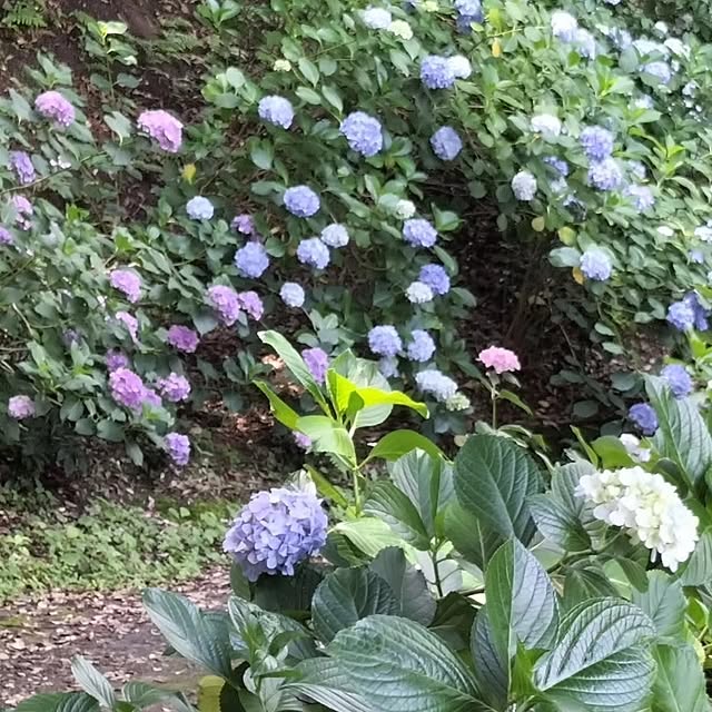 coco0.84.さんの実例写真