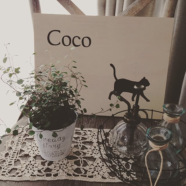 m.cocogardenさんの実例写真