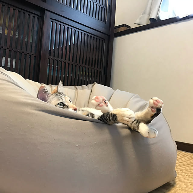 Dさんの実例写真