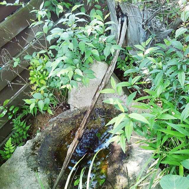 実例写真