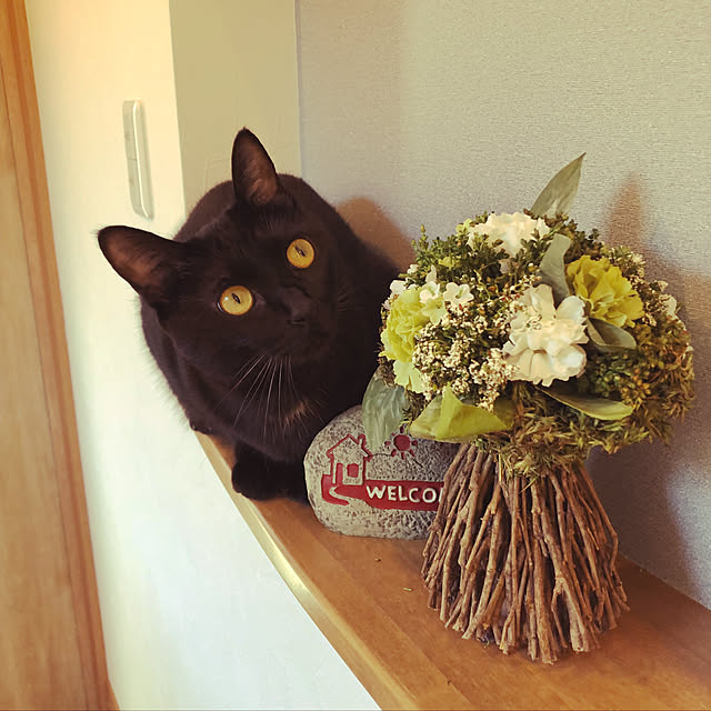 syrnuu946さんの実例写真