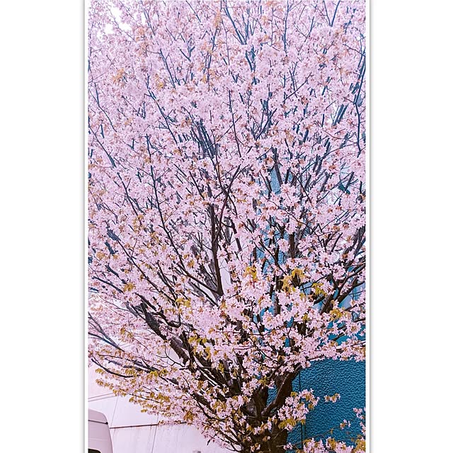 monnさんの部屋