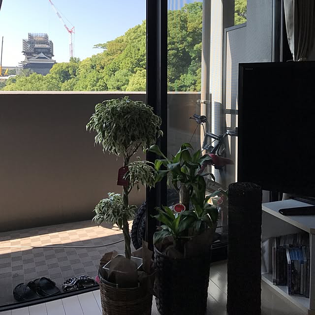 akarinさんの実例写真