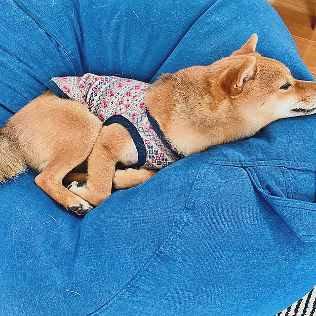 kenzさんの部屋
