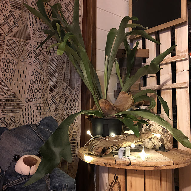 tenmaruさんの実例写真