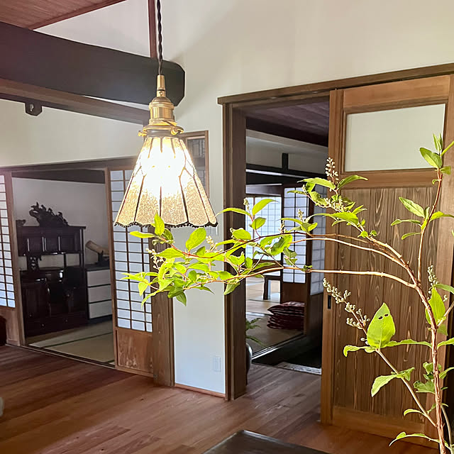 cota2さんの部屋