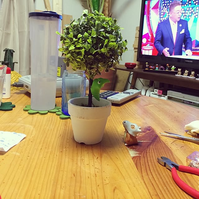 o8ofreedom3972さんの実例写真