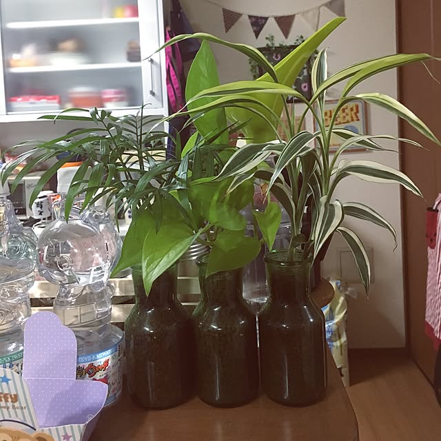 heinchanさんの実例写真