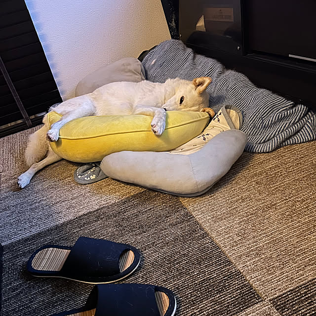 tanboさんの実例写真