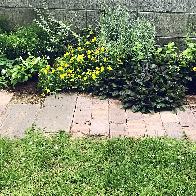 yanada0606さんの実例写真
