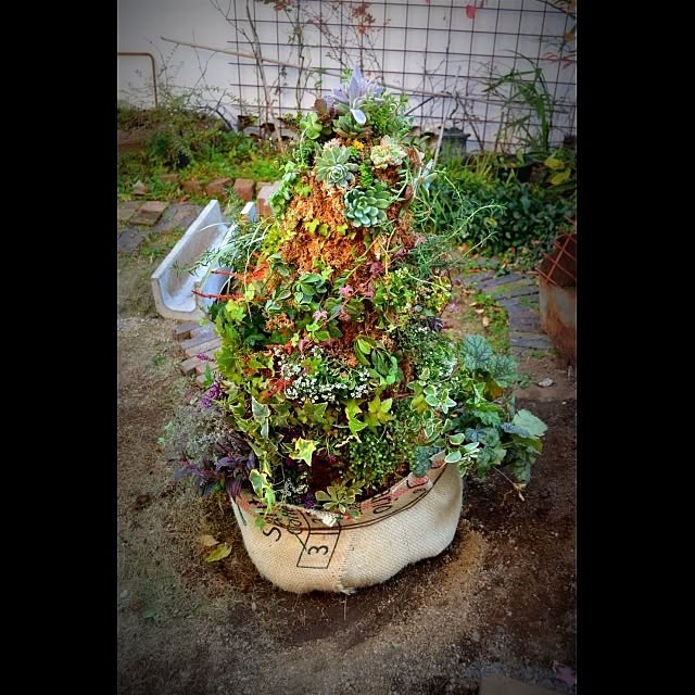 GreenWorksさんの実例写真