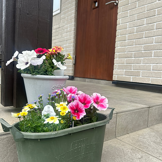 1TAさんの実例写真