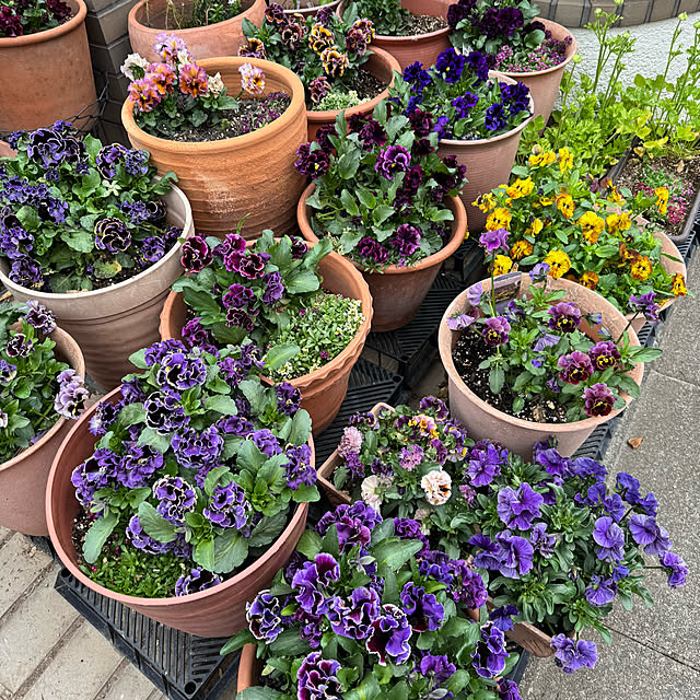 mamizaさんの実例写真