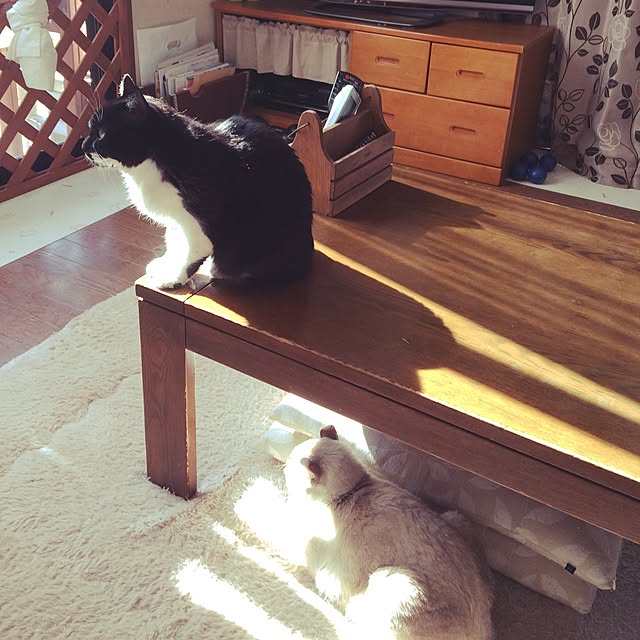 mimunさんの実例写真