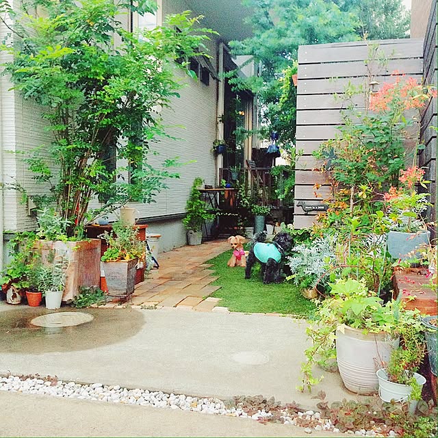risaさんの実例写真