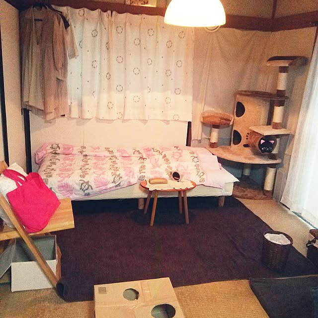 Shinobuさんの実例写真
