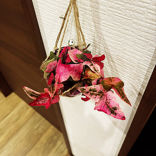 アンティーク/100均/ハンドメイド/DIY/多肉植物...などのインテリア実例 - 2021-05-11 08:17:39