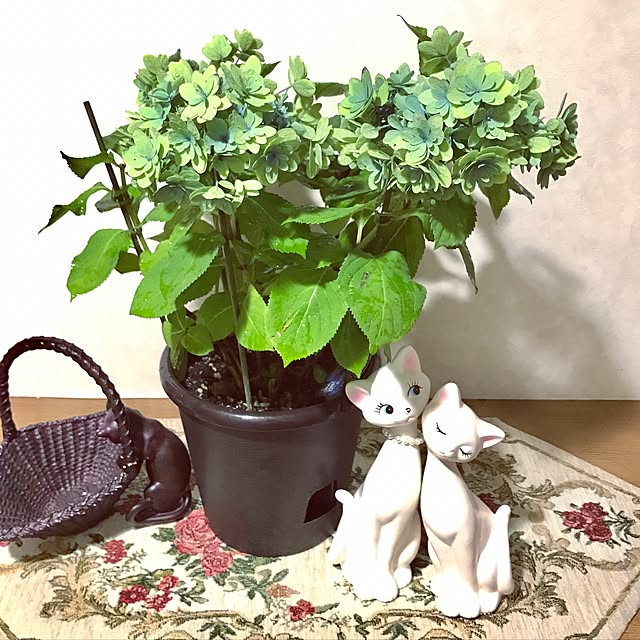 yuko25さんの実例写真
