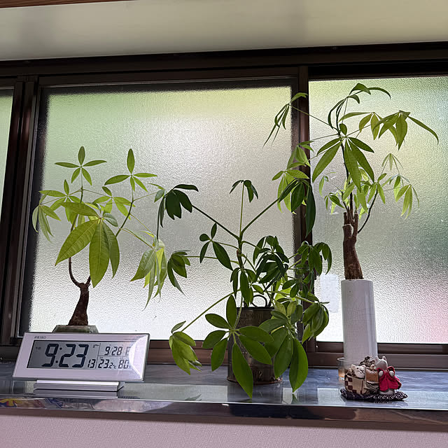 sakakenさんの実例写真