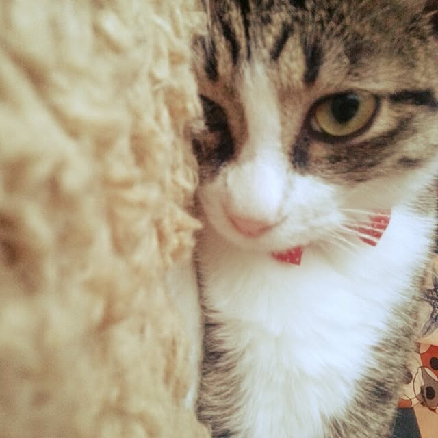 key39さんの実例写真