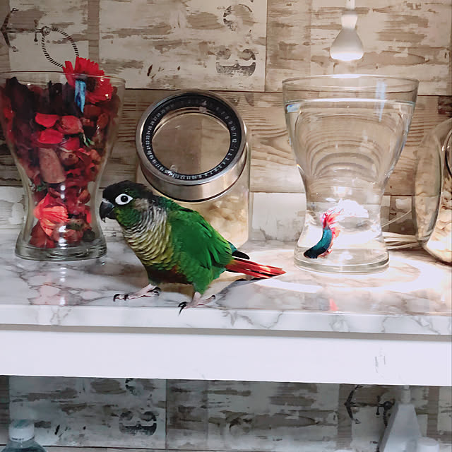 choby.naoさんの実例写真