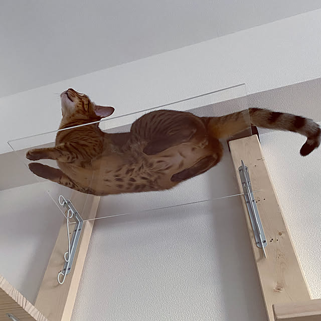 yuzuaoさんの実例写真