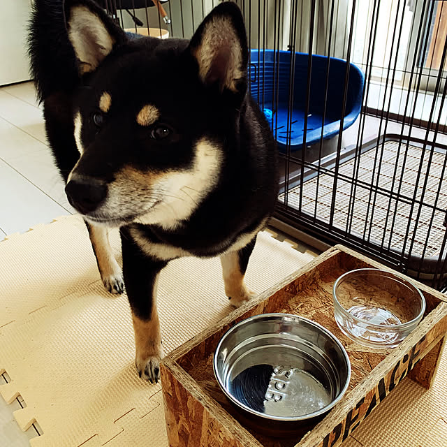 yurikoさんの実例写真