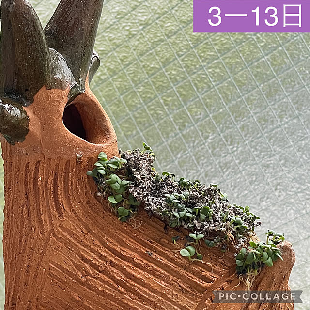 aureaさんの実例写真