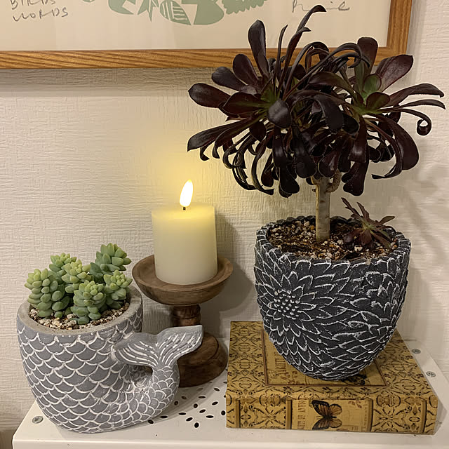 sakunさんの実例写真