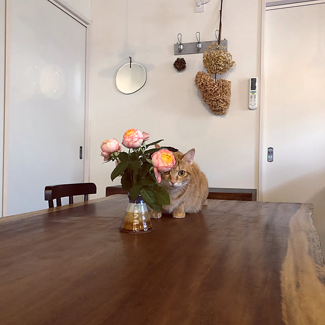 takakoさんの実例写真