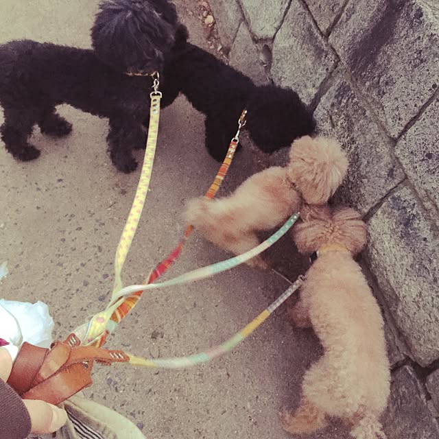 chiiさんの実例写真