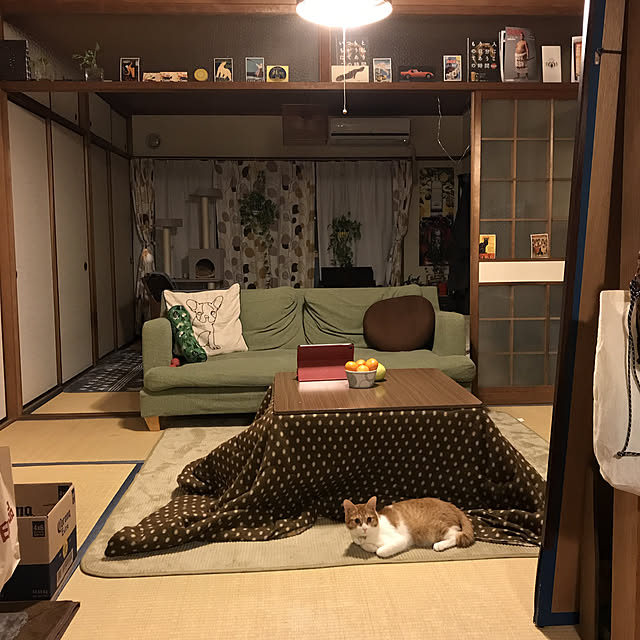 tamaさんの実例写真