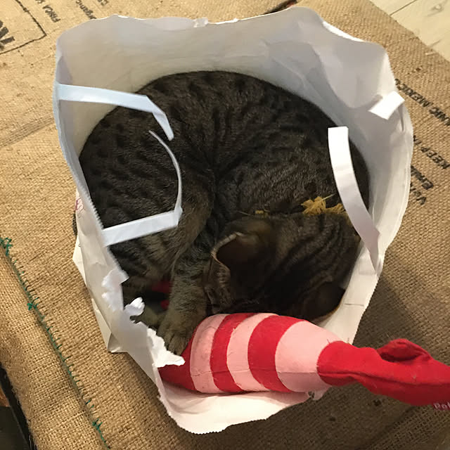 Mさんの実例写真