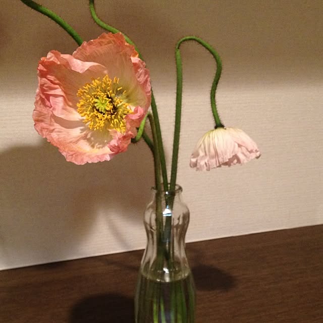 Yukiさんの実例写真