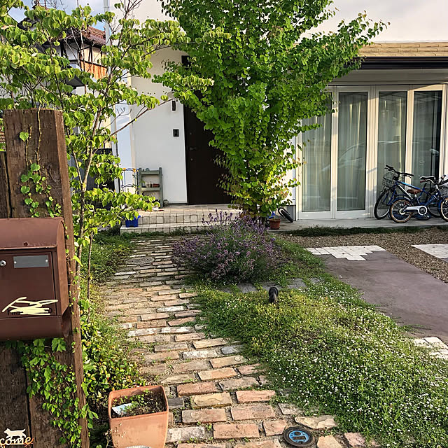 mi_eさんの実例写真